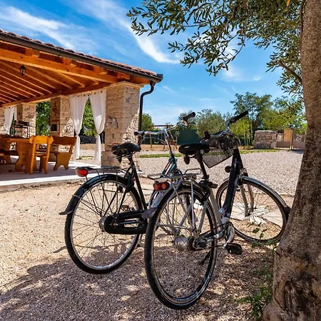 My Dalmatia - Authentic Malou With Private Swimming Pool Stankovci